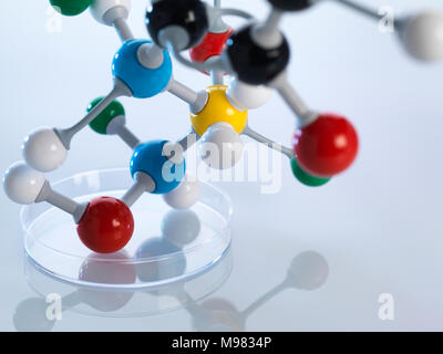 Il modello molecolare nella capsula di petri Foto Stock