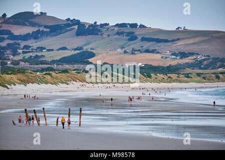 Nuova Zelanda, Isola del Sud, Dunedin, St Clair Beach Foto Stock