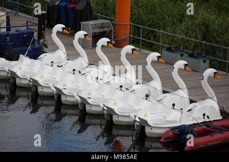 Londra, Regno Unito. 12 Giugno, 2017. Swan pedalò Noleggio barche schierate sul fiume acquedotto nel Queen Elizabeth Olympic Park. Foto Stock