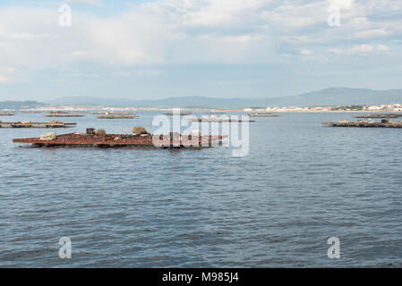 Acquacoltura di mitilo zattere, batea, in Arousa estuary, Galizia, Spagna Foto Stock