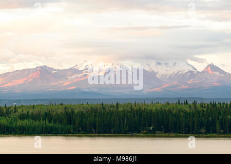 Stati Uniti d'America, Alaska, Wrangel montagne, Wrangell-St.-Elias-Nationalpark. Vista dal lago di salice Foto Stock