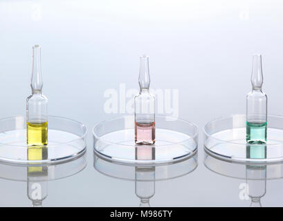 Ampolle in capsule di petri Foto Stock