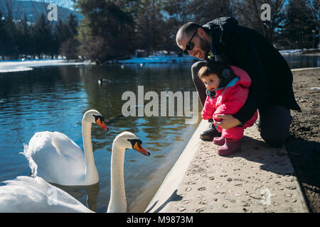 Francia, Osseja lago, Grazioso baby con padre guardando i cigni in un parco Foto Stock