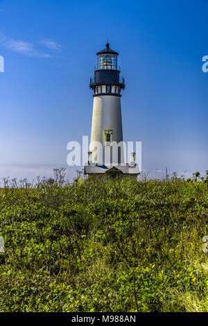 Yaquina Capo Faro, costruito nel 1872, 93 metri di altezza sulla costa dell'Oregon. Foto Stock