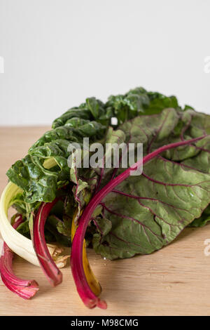 Rainbow Chard culmi pronto per insalate ingredienti Foto Stock