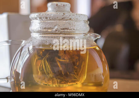 Teiera in vetro con tè con gocce d'acqua sul coperchio Foto Stock