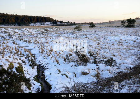 La neve sulla terra distrubed a Priddy Mineries, Mendip Hills, Somerset Foto Stock