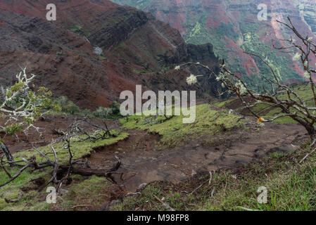 Il Canyon di Waimea sulla Kauai, Hawaii, in inverno Foto Stock