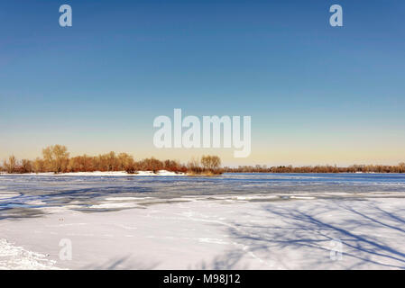 Vista di salici e pioppi vicino al fiume Dnieper a Kiev durante un freddo e chiaro pomeriggio invernale Foto Stock