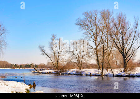 Vista di salici e pioppi vicino al fiume Dnieper a Kiev durante un freddo e chiaro pomeriggio invernale Foto Stock