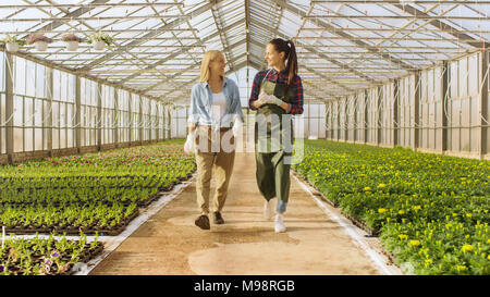 Due Happy Industrial serra i lavoratori a piedi attraverso file di fiori colorati e verdura verde. Hanno sorriso e sono felice con alimenti biologici. Foto Stock