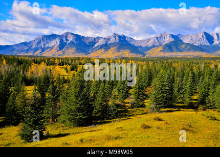 Un bel paesaggio di caduta immagine presa ai piedi delle montagne rocciose vicino Brule Alberta Canada su un chiaro e nitido mattina. Foto Stock