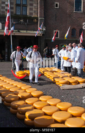 ALKMAAR, Paesi Bassi - circa aprile 2007 - ogni venerdì da aprile a settembre il mercato del formaggio di Alkmaar ha luogo sulla piazza Waagplein in t Foto Stock