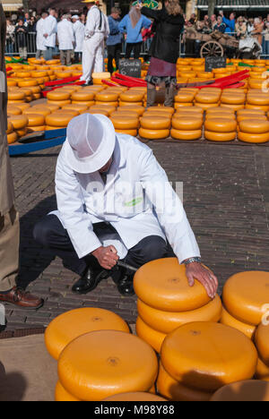 ALKMAAR, Paesi Bassi - circa aprile 2007 - ogni venerdì da aprile a settembre il mercato del formaggio di Alkmaar ha luogo sulla piazza Waagplein in t Foto Stock