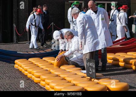ALKMAAR, Paesi Bassi - circa aprile 2007 - ogni venerdì da aprile a settembre il mercato del formaggio di Alkmaar ha luogo sulla piazza Waagplein in t Foto Stock