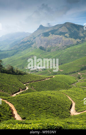 La piantagione di tè Il tè Kolukkumalai station wagon, Munnar, India. Foto Stock