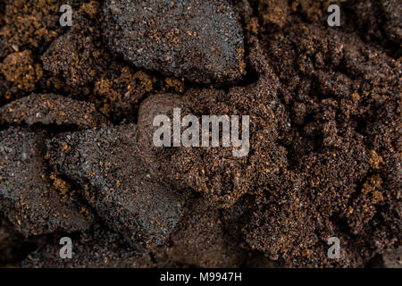 Close up di caffè usata o immondizia come sfondo, pattern, texture, design utile per il concetto. Foto Stock