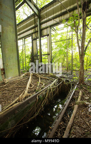 Apoera stazione ferroviaria in Suriname, vicino al fiume Courantayne che è stato abbandonato dopo i piani per usarlo per la movimentazione di bauxite sono stati interrotti Foto Stock