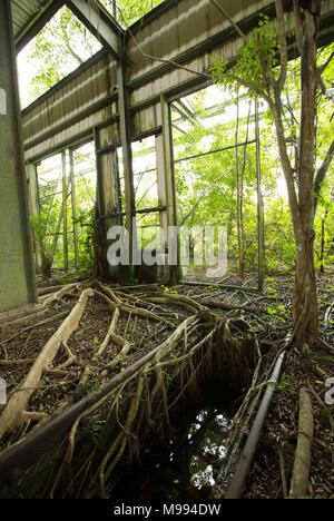 Apoera stazione ferroviaria in Suriname, vicino al fiume Courantayne che è stato abbandonato dopo i piani per usarlo per la movimentazione di bauxite sono stati interrotti Foto Stock