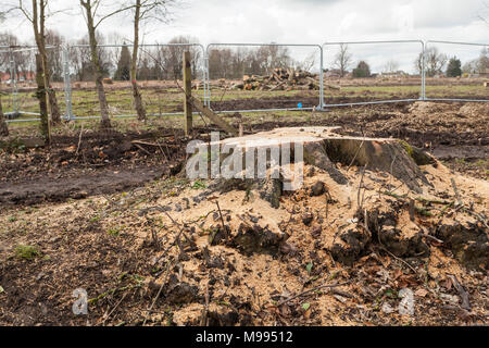 Blackwell residenti arrabbiati oltre il taglio degli alberi sul Carmelo Road South,Darlington,l'Inghilterra,UK per costruire alloggi di sviluppo. Foto Stock