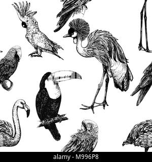 Modello senza giunture di mano il bozzetto di stile uccelli esotici isolati su sfondo bianco. Illustrazione Vettoriale. Illustrazione Vettoriale