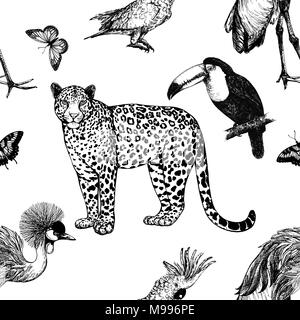 Modello senza giunture di mano il bozzetto style leopard, uccelli esotici e butterfly isolati su sfondo bianco. Illustrazione Vettoriale. Illustrazione Vettoriale