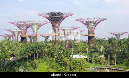 SINGAPORE - APR 2nd, 2015: vista Giorno dell'Supertree Grove a giardini dalla Baia di Singapore. Spanning 101 ettari, e a cinque minuti a piedi dalla stazione MRT di Bayfront stazione. Foto Stock