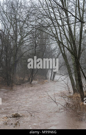 Gonfia flusso fangoso attraverso i boschi traboccante le sue banche mentre piove Foto Stock