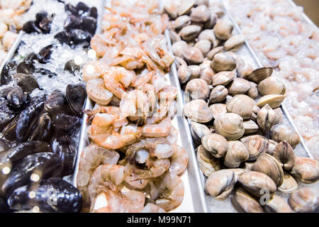 Grandi materie verde gusci di vongole Cozze Gamberi closeup crostaceo di gamberi frutti di mare stand su ghiaccio nel mercato fresco dietro il vetro del display in negozio, negozio Foto Stock