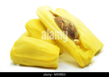 Mature jackfruit isolati su sfondo bianco Foto Stock