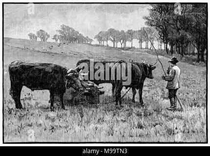 1891 incisione da il ragazzo della propria carta; "a pranzo", mostrando un pastore e il suo gregge. Da Frank H. Walker. Foto Stock