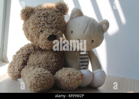 Orso bruno e cucciolo giocattolo seduto alla finestra di ombre Foto Stock