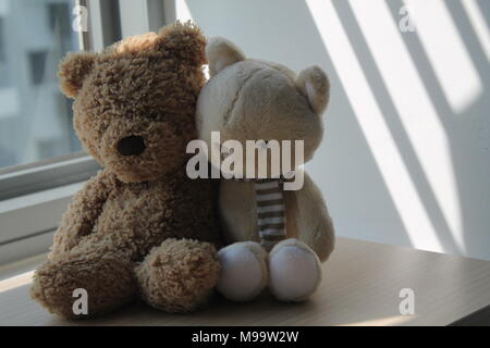 Orso bruno e cucciolo giocattolo seduto alla finestra di ombre Foto Stock