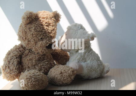 Orso e agnello (pecora) giocattolo seduto alla finestra di ombre Foto Stock