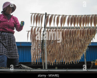 Busan, Corea del Sud. Ottobre 2012: La Jagalchi Mercato del Pesce è un rappresentante al mercato del pesce e una destinazione turistica in Busan. Molti turisti visitano Jag Foto Stock