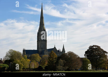 La Cattedrale di Salisbury nel pomeriggio autunnale luce Foto Stock