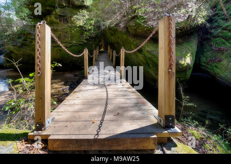 Il ponte oscillante invita le persone a venire godere la natura che si trova all'altra estremità in una triste's Canyon. Foto Stock