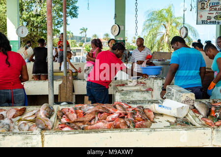 St. Johns pubblico Mercato del Pesce, St. John's, Antigua Foto Stock