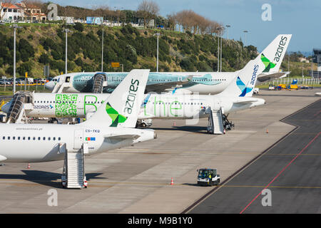 Aerei di compagnie aeree delle Azzorre (prima di SATA Internacional) allineati a João Paulo II Aeroporto Ponta Delgada in Sao Miguel, Isole Azzorre Foto Stock