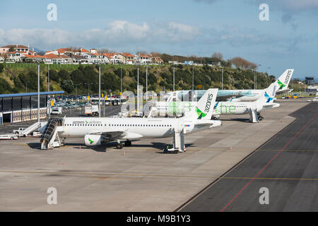 Aerei di compagnie aeree delle Azzorre (prima di SATA Internacional) allineati a João Paulo II Aeroporto Ponta Delgada in Sao Miguel, Isole Azzorre Foto Stock