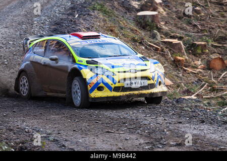 Una Ford Fiesta rally car velocità intorno ad un angolo nella foresta Gwydr Foto Stock