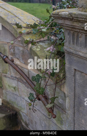 Ivy salendo lungo un vecchio muro e maniglia in metallo Foto Stock