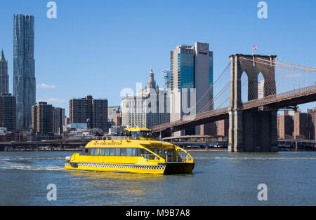 Un giallo New York Water Taxi sull'East River vicino al Ponte di Brooklyn Foto Stock