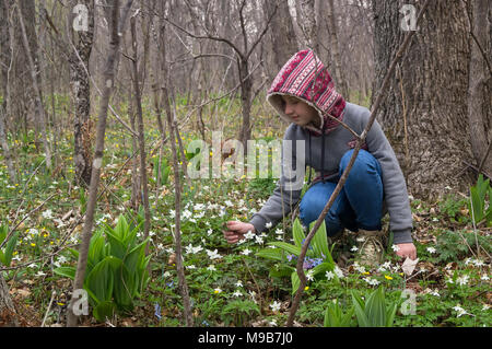 Ragazza adolescente bambino nella foresta di trovare e taglia i primi fiori di bucaneve dopo la partenza di inverno e l'arrivo della primavera. Molla di benvenuto Foto Stock