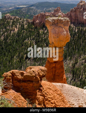 Vista panoramica di hoodoo in Bryce Canyon. Foto Stock