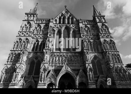 La Cattedrale di Salisbury nel pomeriggio autunnale luce Foto Stock