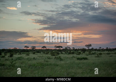 Sunset sunrise nel Parco di Kruger Sud Africa Foto Stock