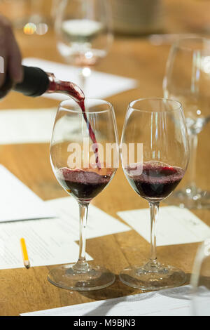 Il vino rosso è versata in bicchieri a una degustazione di vino Foto Stock