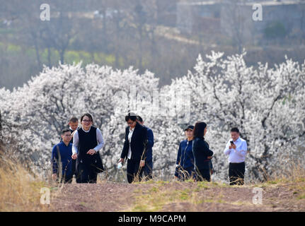 Xinmi, la Cina della Provincia di Henan. 24 Mar, 2018. Un gruppo di turisti a piedi tra le fioriture dei mandorli Xinmi, centrale cinese della Provincia di Henan, 24 marzo 2018. I mandorli su Xinmi Jianshan della montagna hanno cominciato a fiorire come la temperatura aumenta in primavera. Credito: Feng Dapeng/Xinhua/Alamy Live News Foto Stock