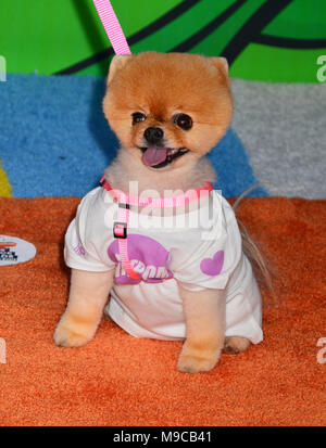 Jiffpom assiste Nickelodeon's 2018 Kids' Choice Awards presso il Forum su Marzo 24, 2018 a Inglewood, California Foto Stock